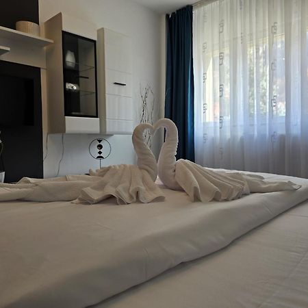 Apartament Sofy2 Băile Herculane エクステリア 写真