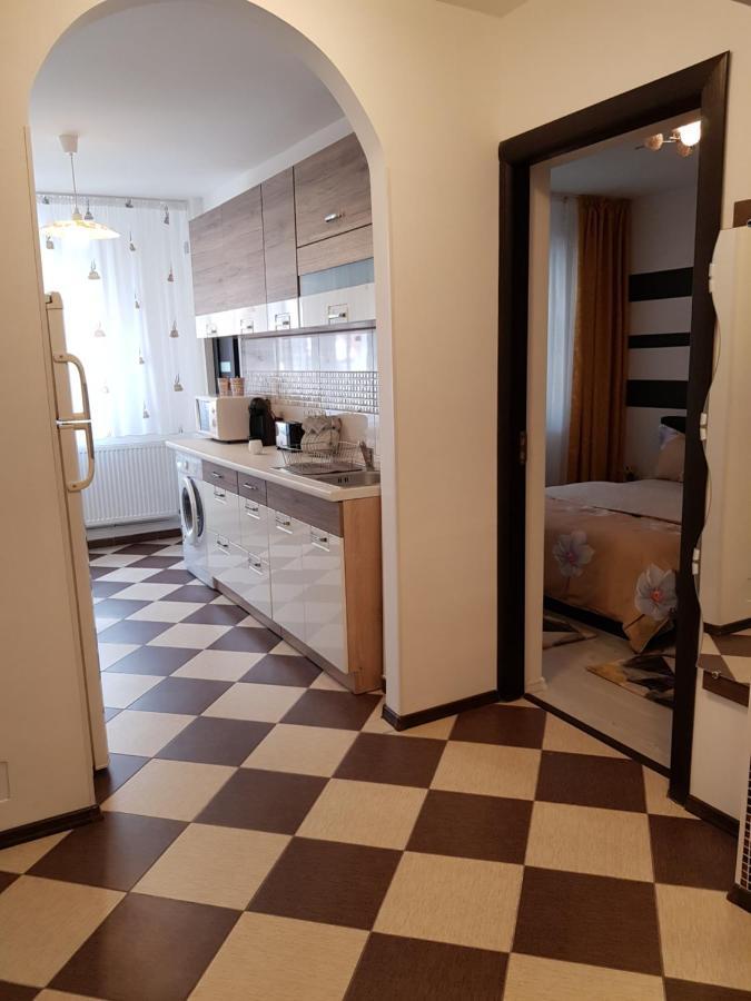 Apartament Sofy2 Băile Herculane エクステリア 写真