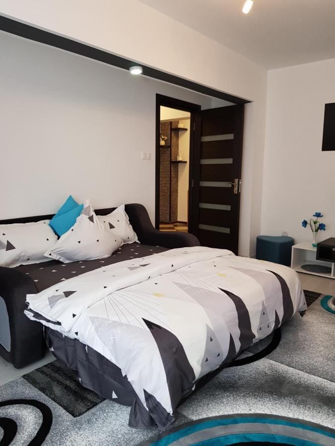 Apartament Sofy2 Băile Herculane エクステリア 写真