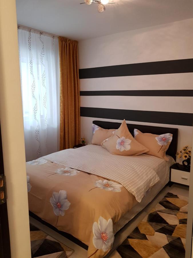 Apartament Sofy2 Băile Herculane エクステリア 写真