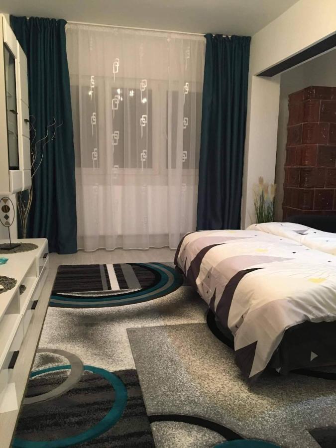 Apartament Sofy2 Băile Herculane エクステリア 写真