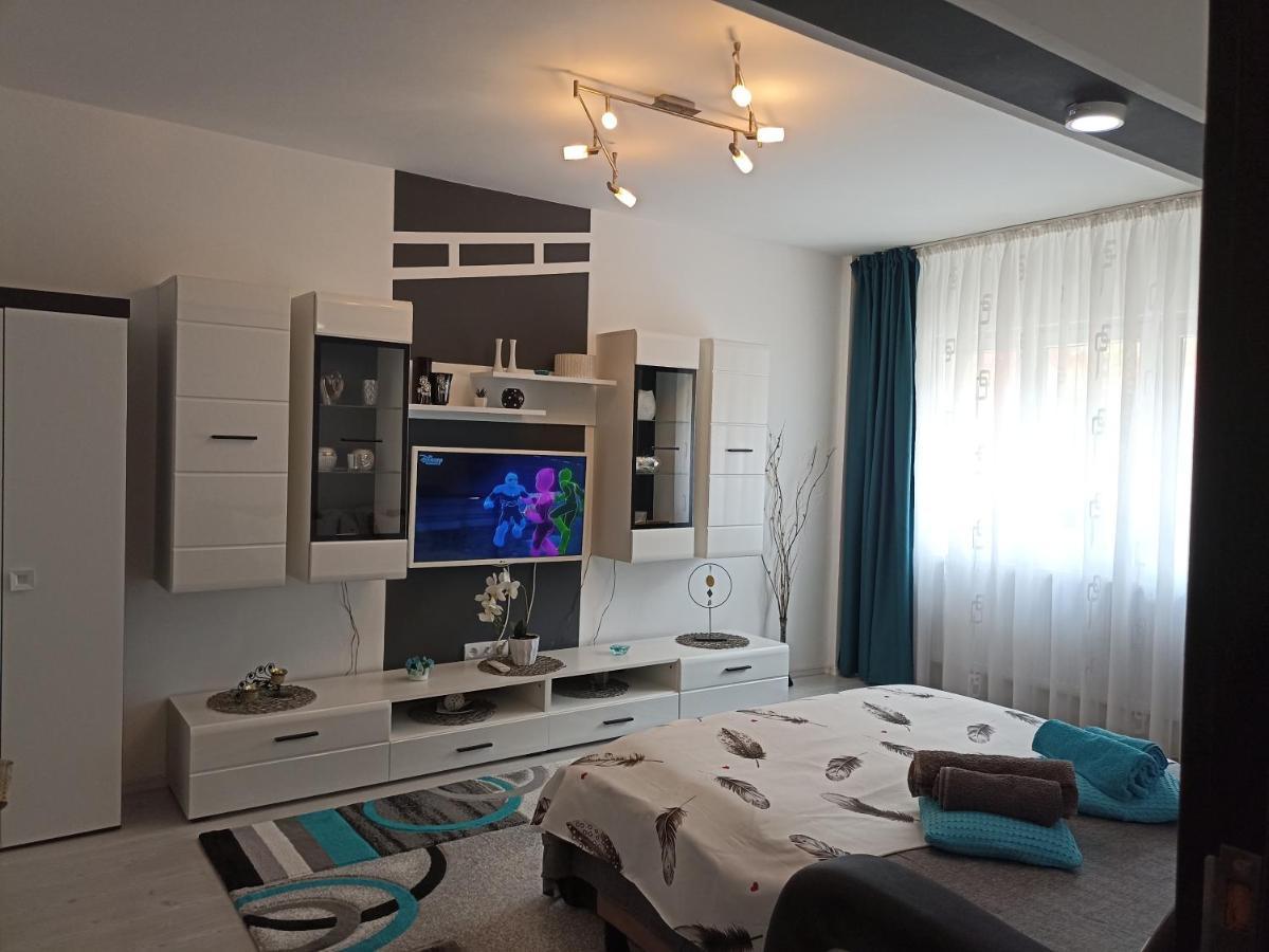 Apartament Sofy2 Băile Herculane エクステリア 写真