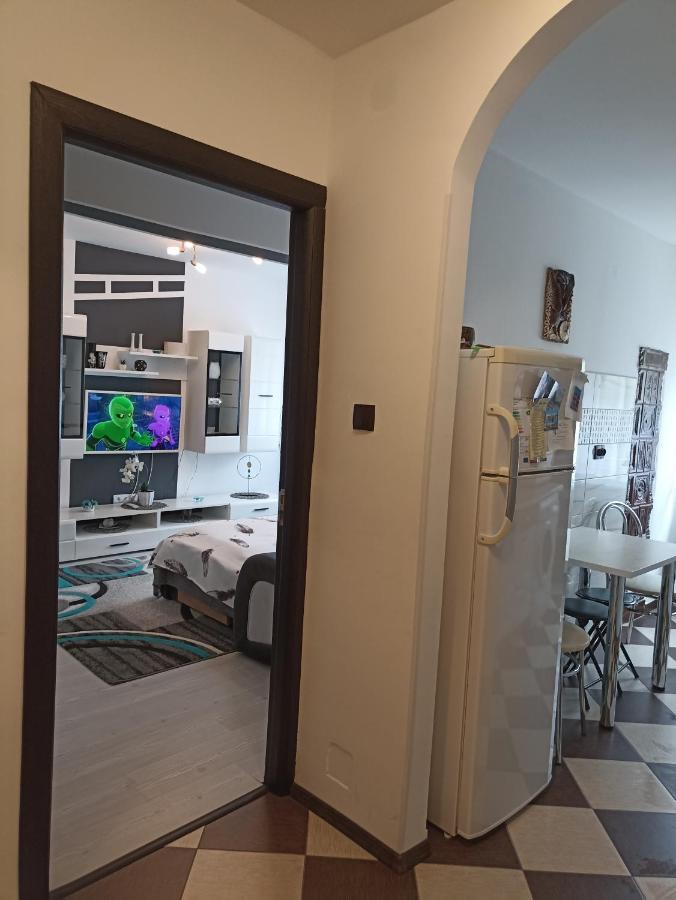 Apartament Sofy2 Băile Herculane エクステリア 写真