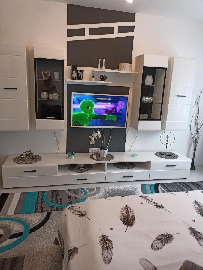 Apartament Sofy2 Băile Herculane エクステリア 写真