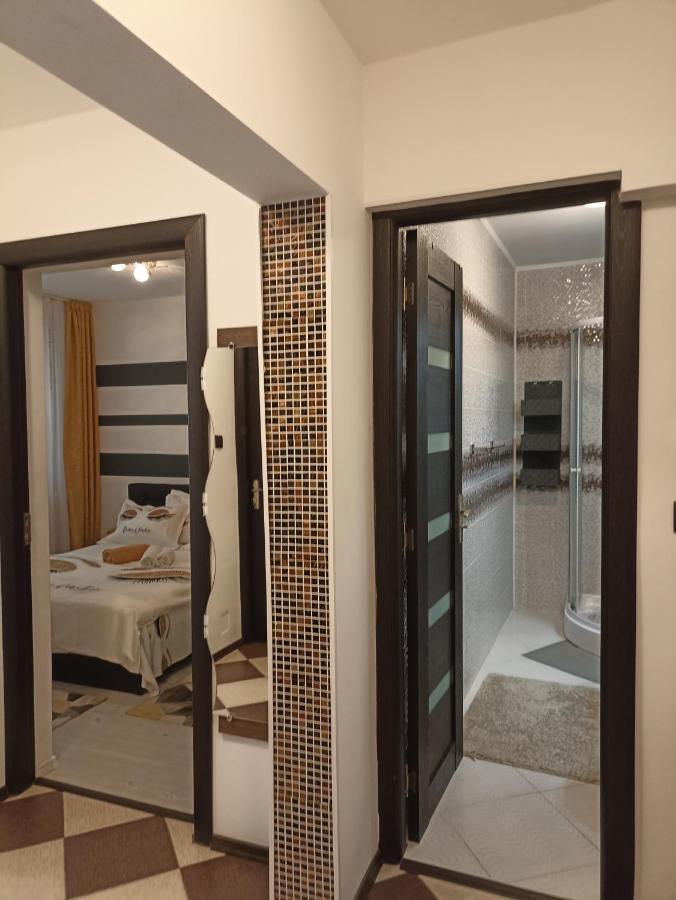 Apartament Sofy2 Băile Herculane エクステリア 写真