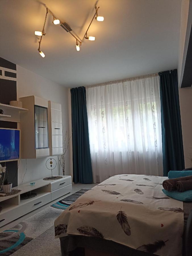 Apartament Sofy2 Băile Herculane エクステリア 写真