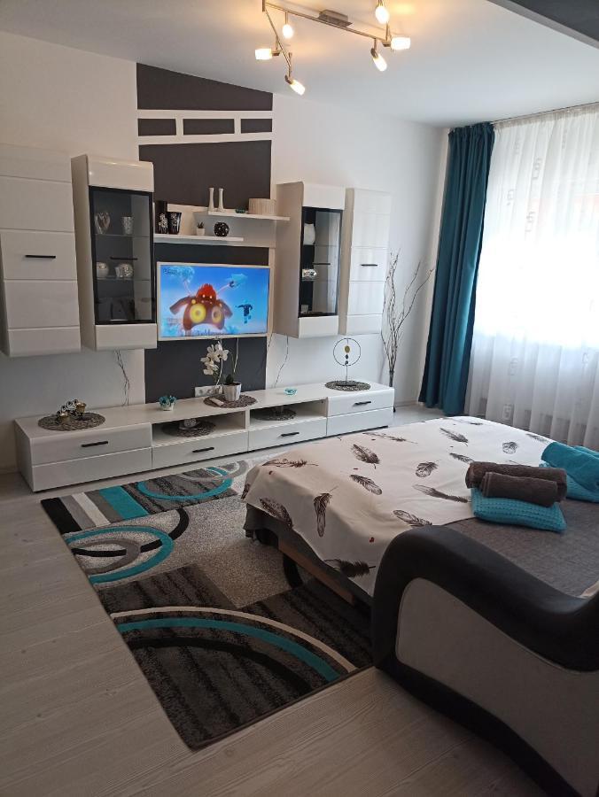Apartament Sofy2 Băile Herculane エクステリア 写真