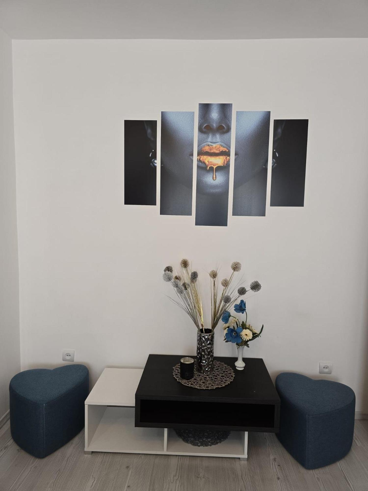 Apartament Sofy2 Băile Herculane エクステリア 写真