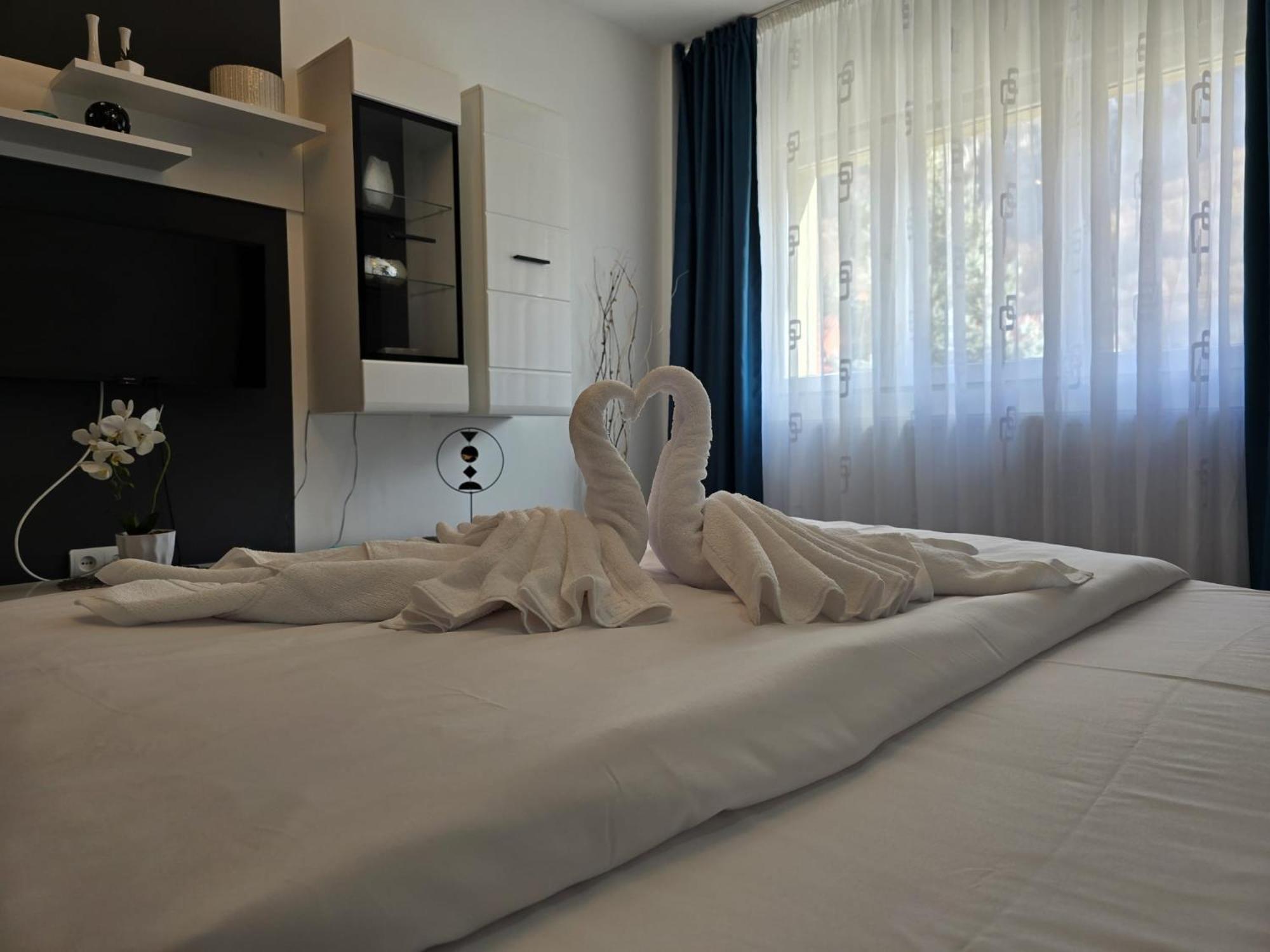 Apartament Sofy2 Băile Herculane エクステリア 写真