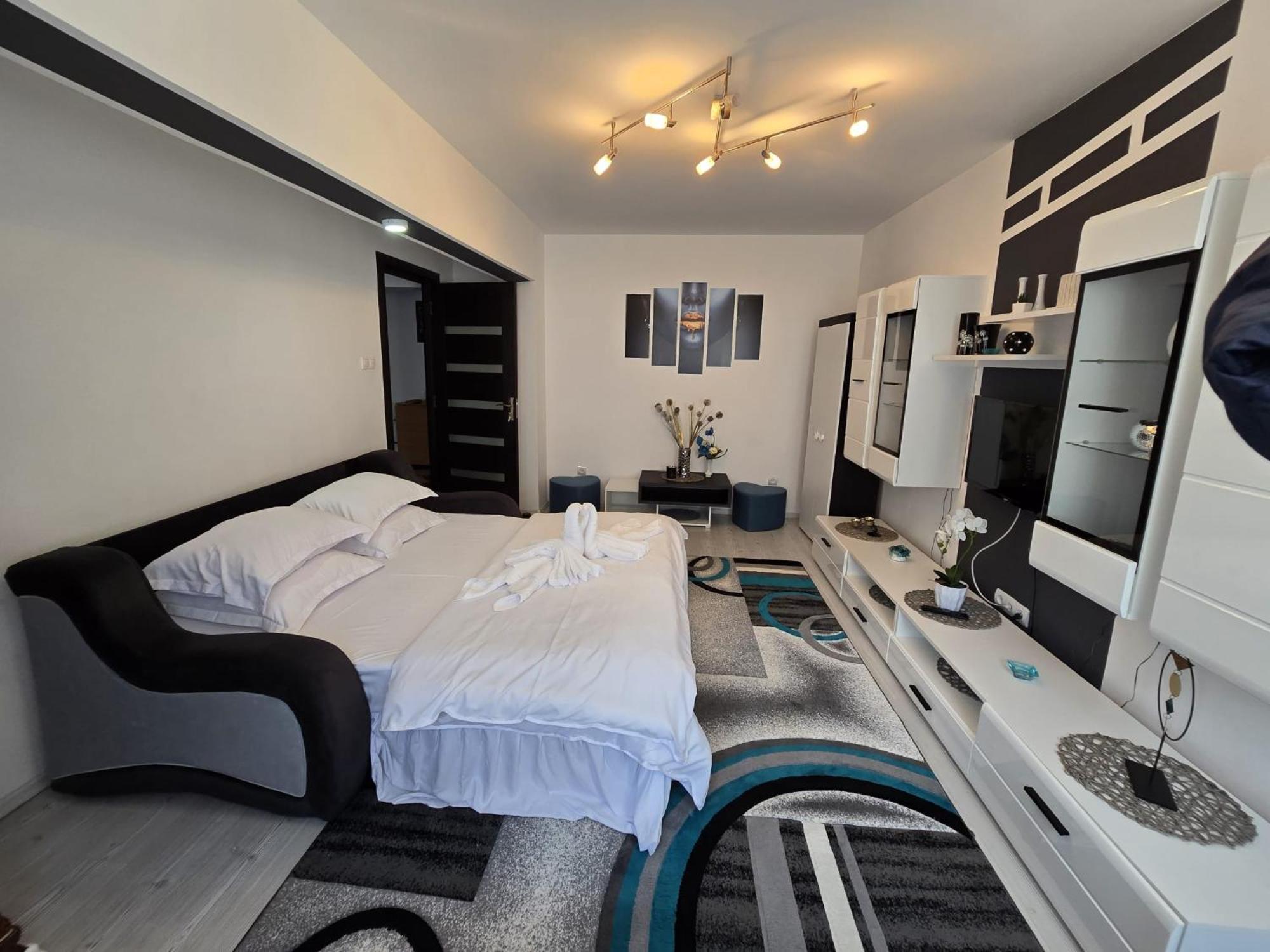 Apartament Sofy2 Băile Herculane エクステリア 写真
